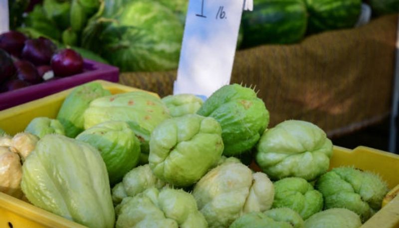 health benefits of chayote or chow chow