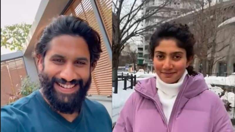 Sai Pallavi, Naga Chaitanya gave surprise together on Valentines Day Samantha's ex husband Naga chaitanya wishes sai Pallavi Video goes viral akb