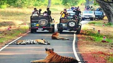 top 7 biggest jungle safari in india Ranthambore National Park to Kanha Tiger Reserve kxa 