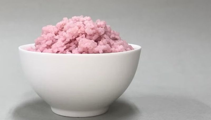 South Korean scientists unveil unique hybrid food: Lab-grown beef infused rice for protein kick snt