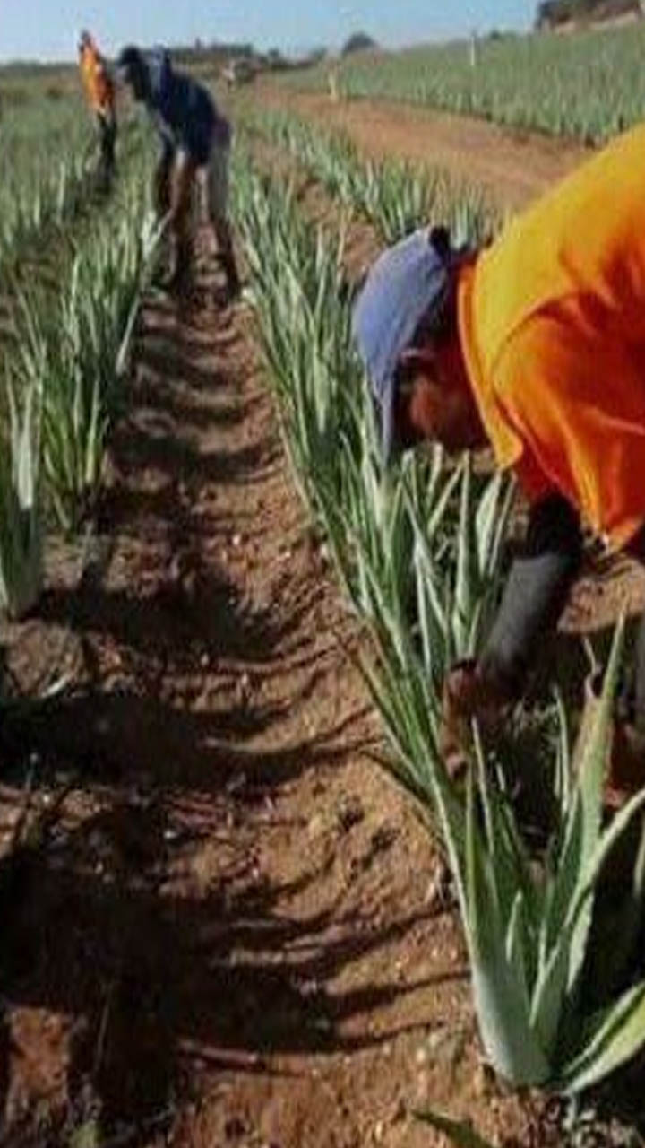 Delhi Border Farmers Protest Kisan Andolan Delhi Border Farmers Protest Kisan Andolan