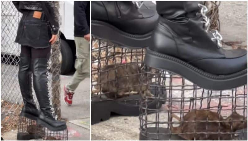 model wearing shoe with rat cage the video going viral