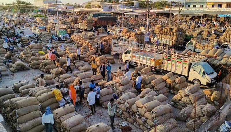 Record 3.34 lakh Bags of Chilli for Byadagi Market in Haveri grg 