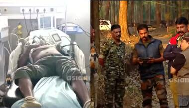 Kerala: Man dies after being attacked by elephant herd in Wayanad