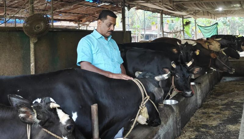 expat turned to be Dairy Farmer when starts only two cows now farm with 50 cows success story SSM