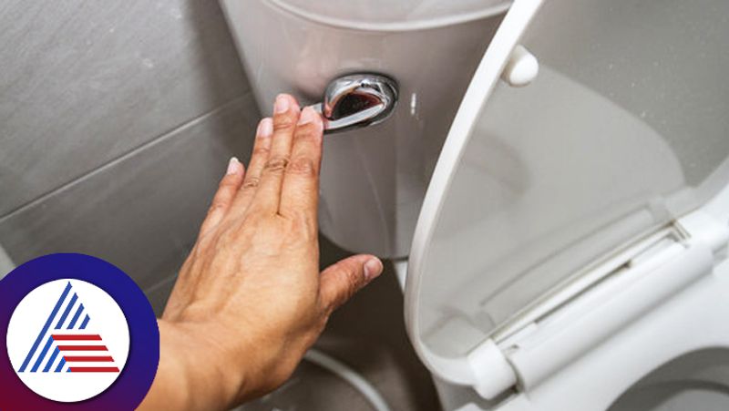 Do You Know Why You Should Close The Toilet Lid Before You Flush