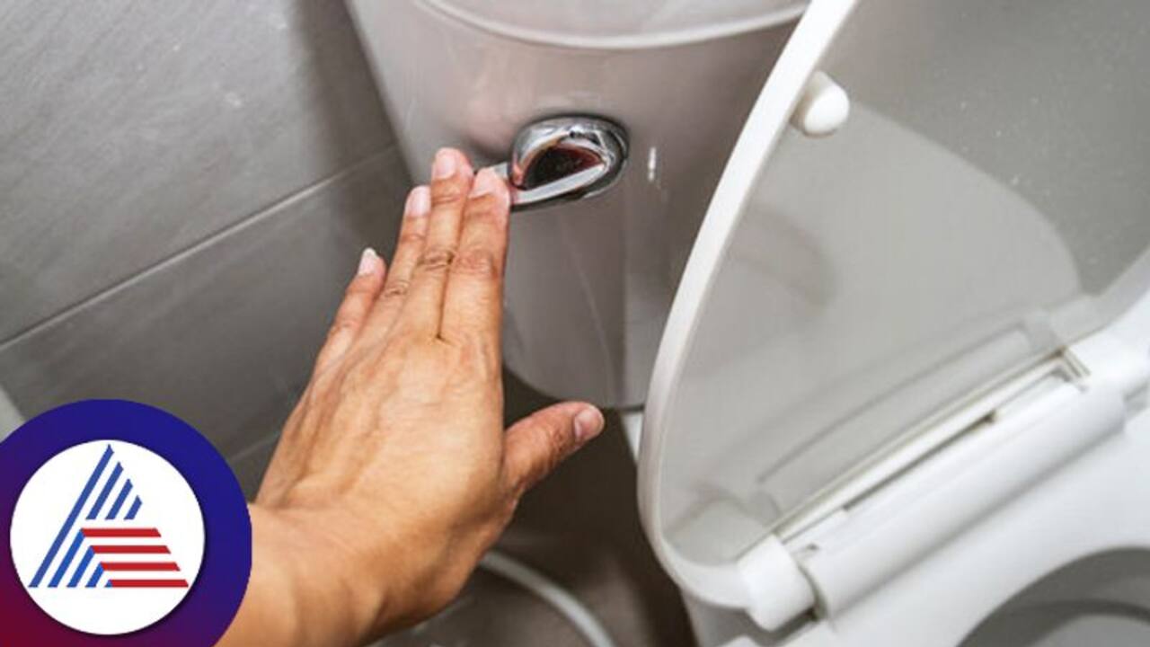 Do You Know Why You Should Close The Toilet Lid Before You Flush