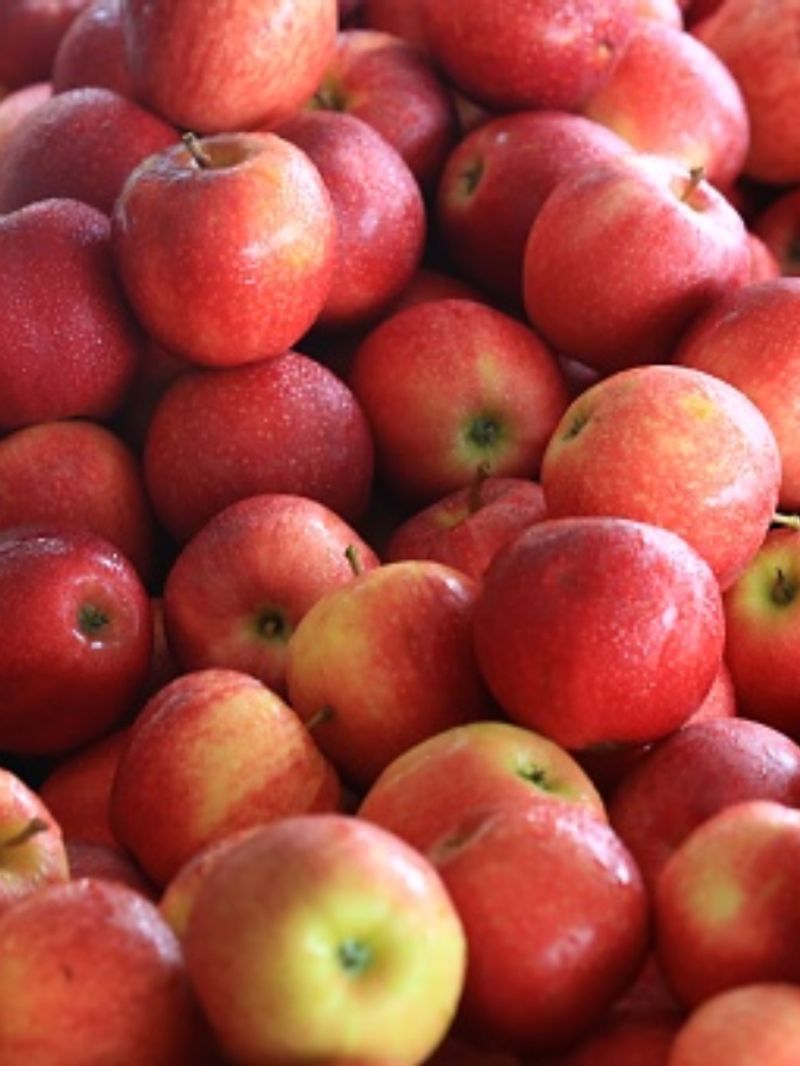 health benefits of eating apple daily 