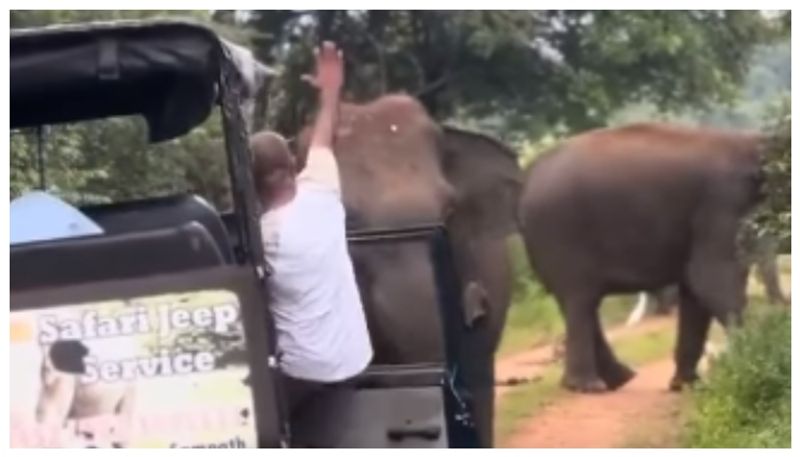 video of a tourist guide stopping an elephant from running to attack him has gone viral BKG