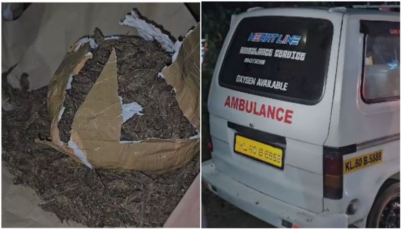 cannabis smuggling an ambulance two arrested in Kollam nbu