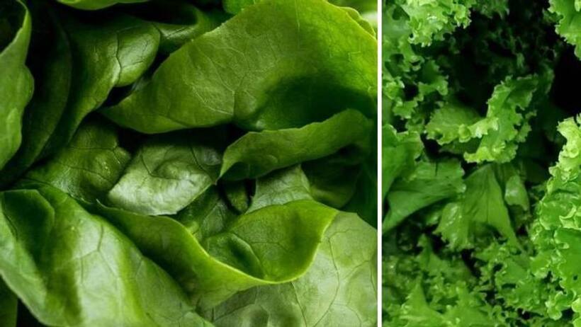 GREEN VEG