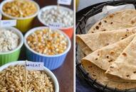 instead of wheat rotis, these grains will also be good for your health xbw