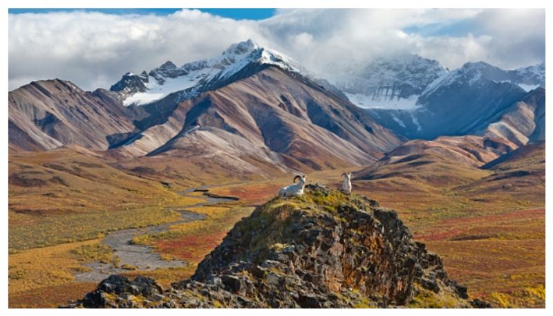 Researchers have discovered a magma lake underground in Alaska bkg