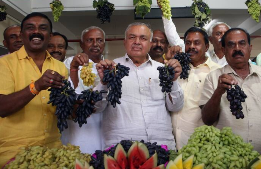 ದ್ರಾಕ್ಷಿ ಕಲ್ಲಂಗಡಿ ಮೇಳ