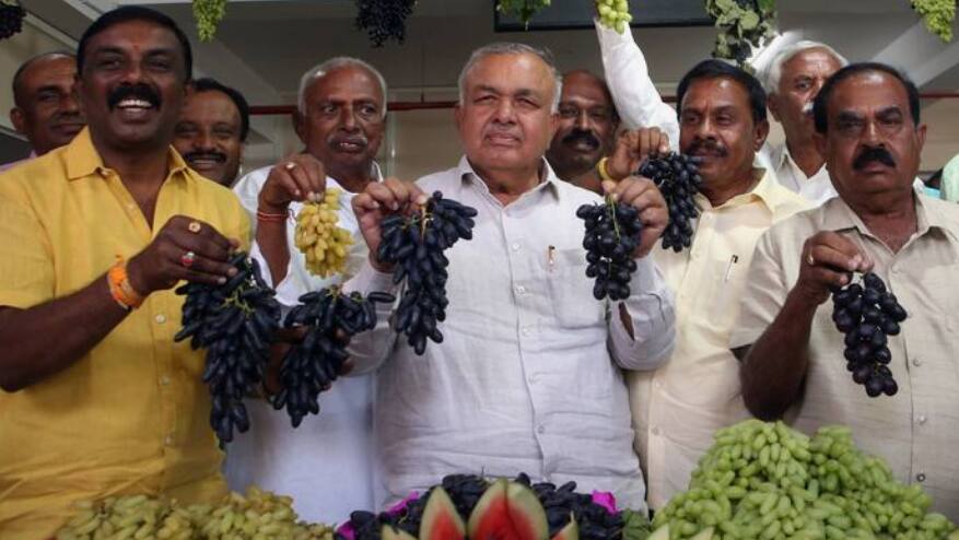 ದ್ರಾಕ್ಷಿ ಕಲ್ಲಂಗಡಿ ಮೇಳ