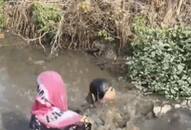 Viral Video: Couple's shocking street altercation ends in a drain (WATCH)