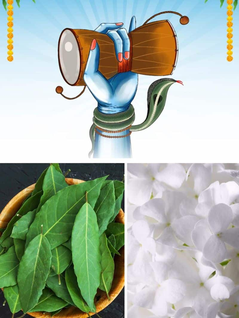 Mahashivratri 2024 5 flowers to offer in worship to Lord Shiva gcw eai