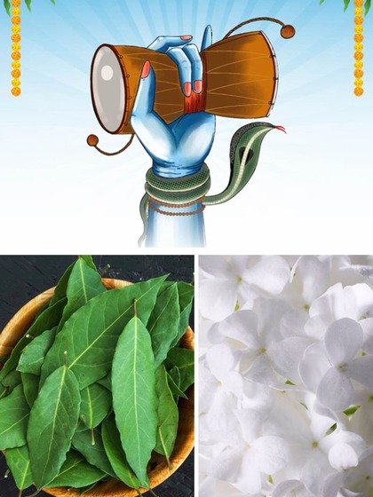Mahashivratri 2024: 5 flowers to offer in worship to Lord Shiva