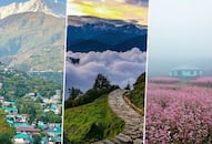 Valley of Flowers to Roopkund: 7 treks to embark on this Spring ATG