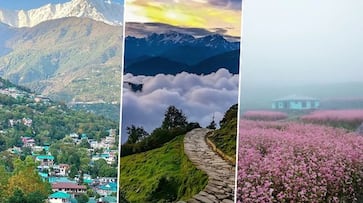 Valley of Flowers to Roopkund: 7 treks to embark on this Spring ATG