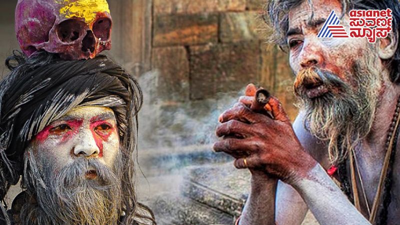 Why Aghoris have physical relations with dead bodies roo