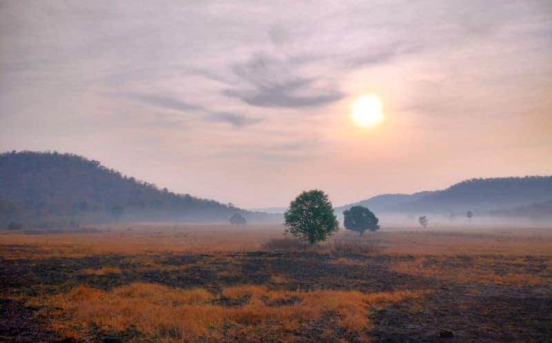 Travel Kheoni Wildlife Sanctuary: Madhya Pradesh's 'wild' secret is out