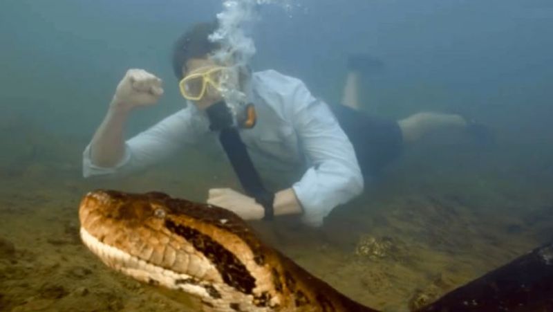 Worlds largest snake found in the Amazon weights 200 kg and is 26 feet long-rag