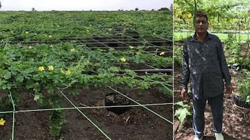 gujarat-farmer-ashwin-nariya An Ingenious Farming Method Developed by a Organic Farmer that Saves Cost while Increasing Production iwh