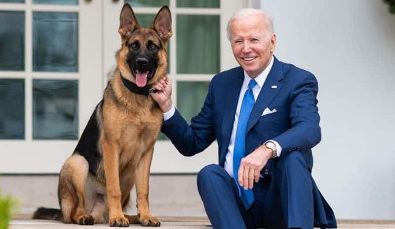 US First Dog 'Commander' exits White House, now with Joe Biden's relatives