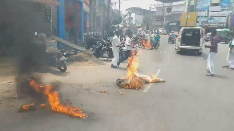 In Thanjavur the viduthalai Tamil puligal burnt effigies of Kamal Haasan and Sivakarthikeyan in protest vel