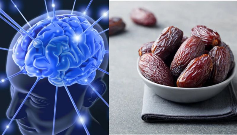 6 dry fruits that help sharpen the memory