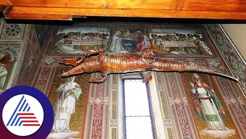 Italian Church Has Fiver Hundred Year Old Crocodile Dead Body Hanging From The Ceiling roo