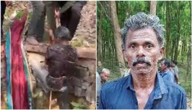 malapuram wild boar attack man injured joy