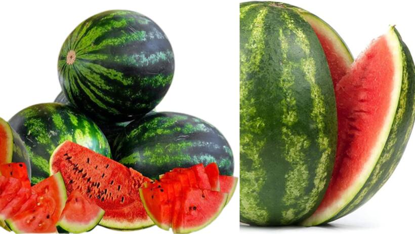 Watermelon  : சுவையான நல்ல  தர்பூசணி வாங்க பெஸ்ட் டிப்ஸ் இது தாங்க!!