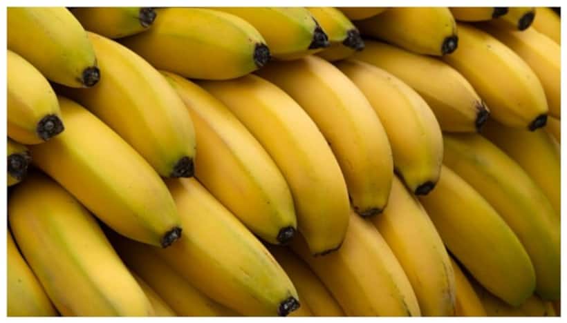 Indian scientists have created a natural wound dressing using banana fibers