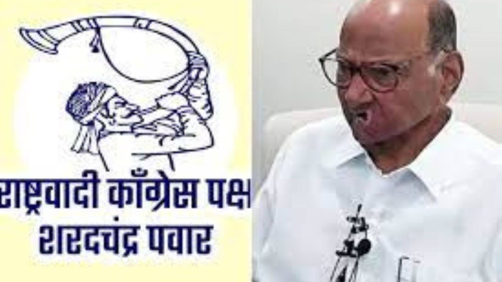 शरद पवार यांच्या पक्षाचे चिन्ह तुतारी 