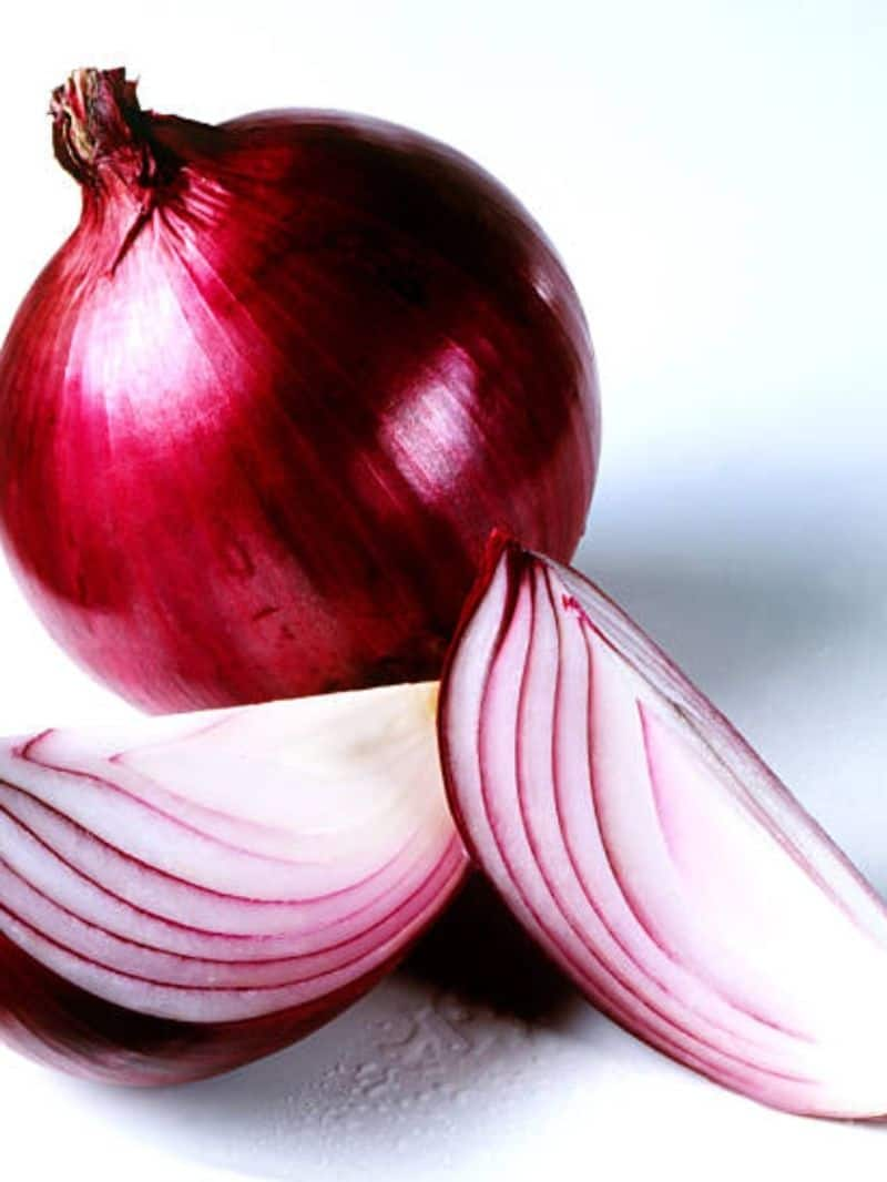 How to grow onion plant at home KAK