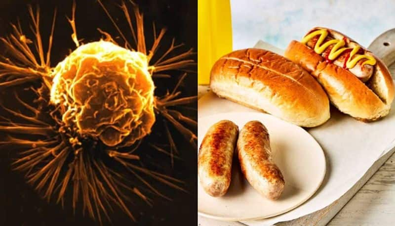 4 cancer causing foods or foods that increase cancer risk