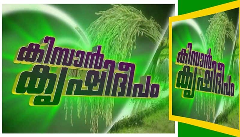 kavilumpara Chattankotunada Agricultural Nursery empowers the farmers ,Kissan Krishideepam