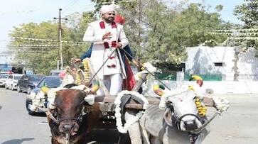 Rajasthan bhilwara groom wedding procession took place on bullock cart zkamn