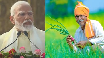 What is PM Kisan Samman Nidhi scheme See how you can check if you have received the 16th instalment iwh