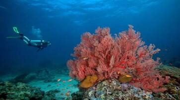 Top 5 destinations for scuba diving in Indiartm