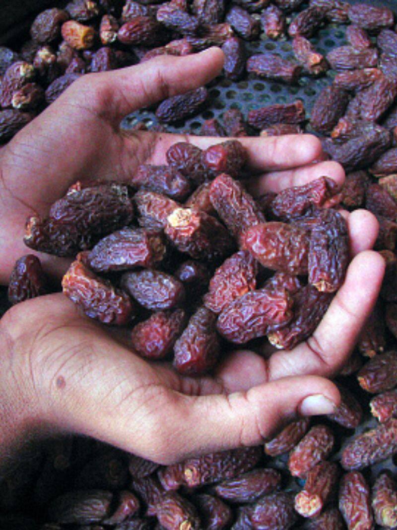 amazing health benefits of eating dates during pregnancy in tamil mks