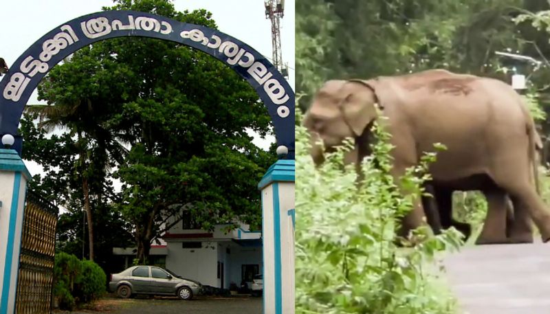 Kerala: Protest intensifies over death of elderly woman by wild elephant in Idukki rkn