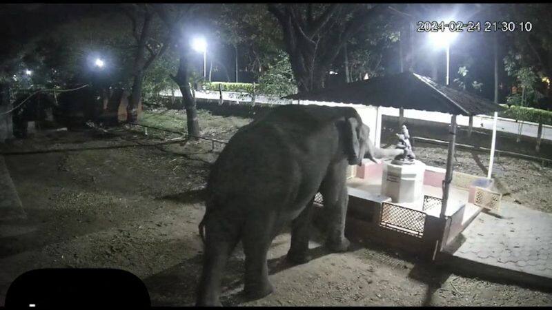 forest elephant pray hanuman statue at school campus in coimbatore vel