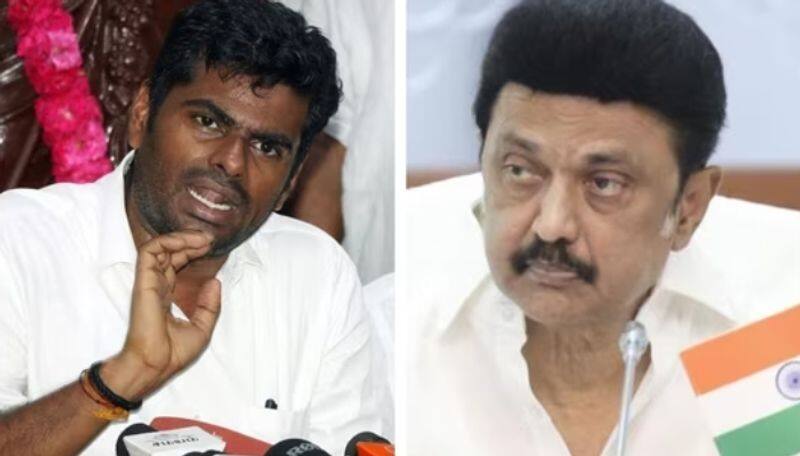 Annamalai criticized mk stalin has no power to not to be implemented CAA in Tamilnadu smp