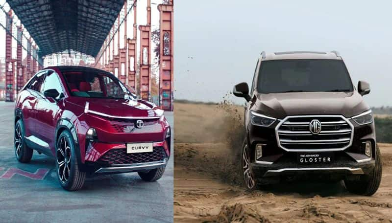 Tata to MG releasing their most wanted diesel cars in 2024 full list with price and specs ans