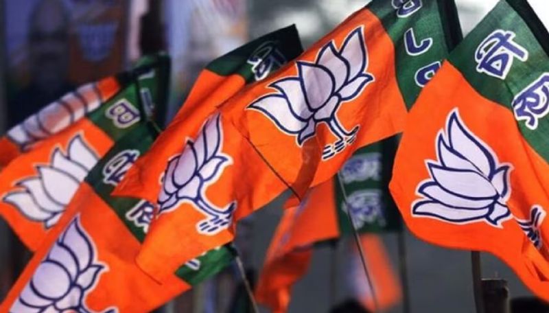 Lok sabha elections 2024 bjp have released first 195 candidates list pm to contest in varanasi ans