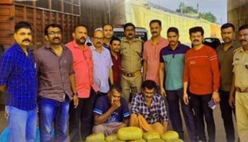 two youth arrested with 110 kg ganja from malappuram joy