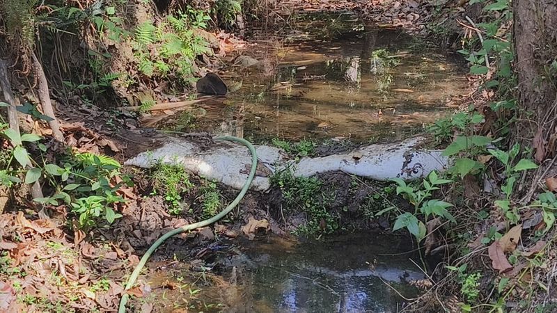 Water problem in Kalasa Taluk of Chikkamagaluru gvd